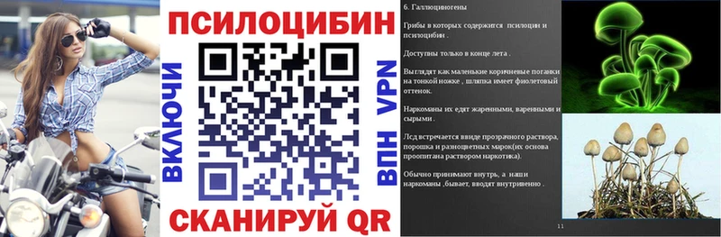 Псилоцибиновые грибы MAGIC MUSHROOMS  продажа наркотиков  Салехард 