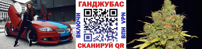 Шишки марихуана сатива  наркотики  Салехард 